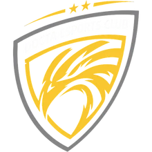 Docta Esports