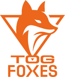 TeamOrangeGaming